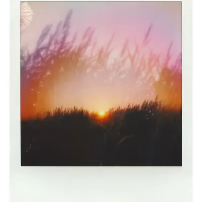 Endless Summer  |  25  | Manifestation