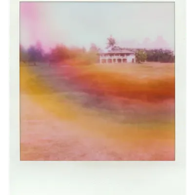 Endless Summer  |  27  | Manifestation