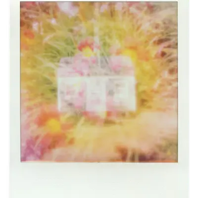 Endless Summer  |  28  | Manifestation