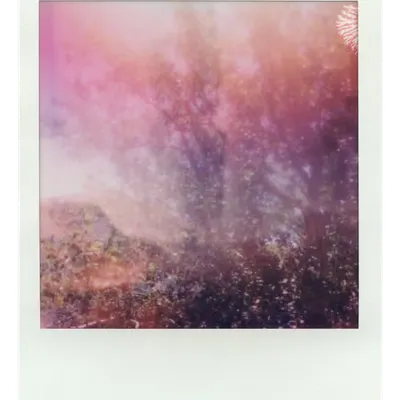 Endless Summer  |  29  | Manifestation