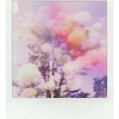 Endless Summer  |  3  | Manifestation