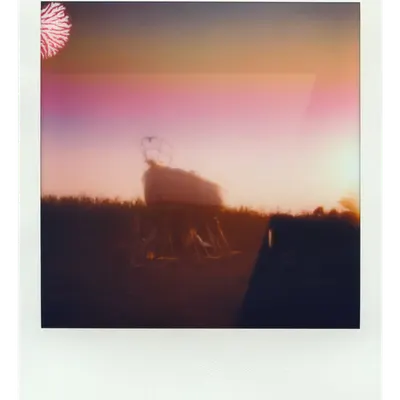 Endless Summer  |  32  | Manifestation