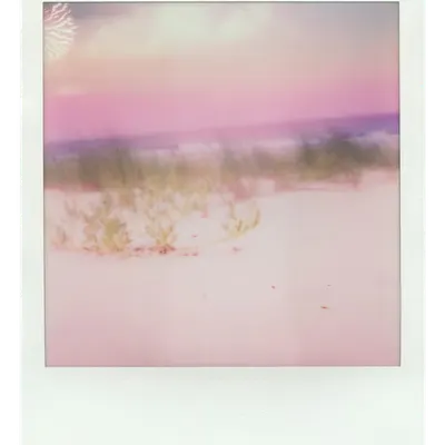Endless Summer  |  34  | Manifestation