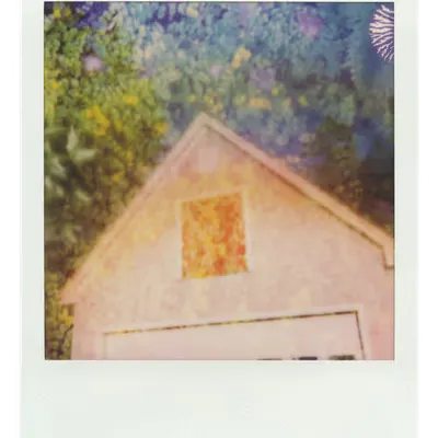 Endless Summer  |  36  | Manifestation
