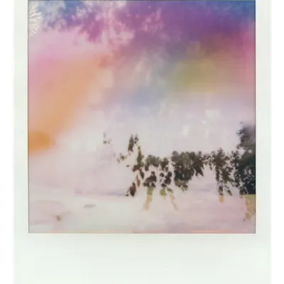 Endless Summer  |  37  | Manifestation