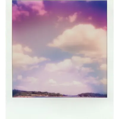 Endless Summer  |  38  | Manifestation