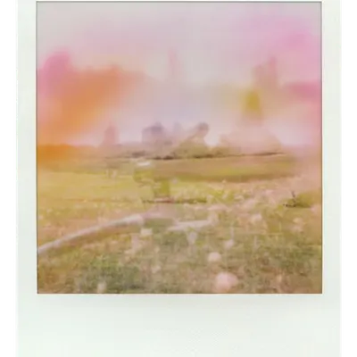 Endless Summer  |  39  | Manifestation