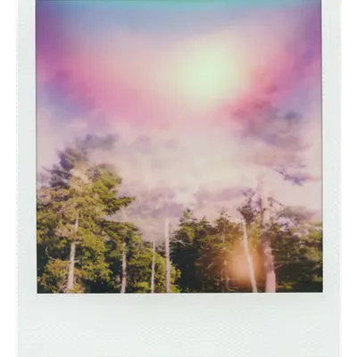 Endless Summer  |  41  | Manifestation
