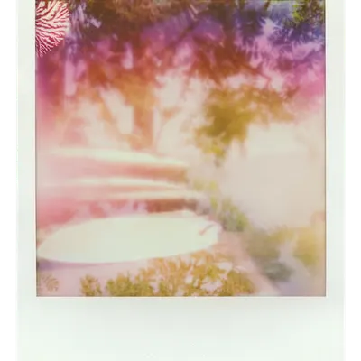 Endless Summer  |  42  | Manifestation