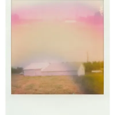 Endless Summer  |  44  | Manifestation