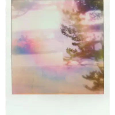Endless Summer  |  46  | Manifestation