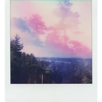 Endless Summer  |  48  | Manifestation