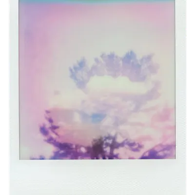 Endless Summer  |  49  | Manifestation