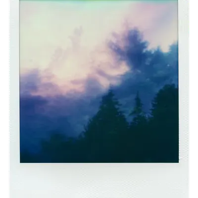 Endless Summer  |  50  | Manifestation