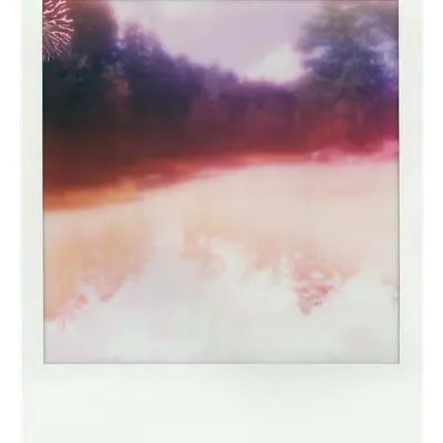 Endless Summer  |  51  | Manifestation
