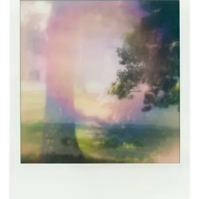 Endless Summer  |  52  | Manifestation