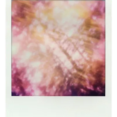 Endless Summer  |  53  | Manifestation