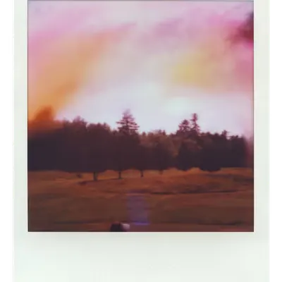 Endless Summer  |  7  | Manifestation