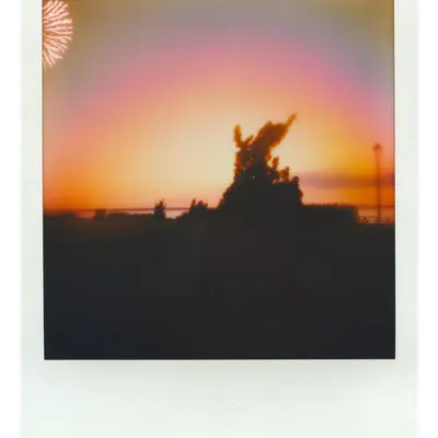 Endless Summer  |  9  | Manifestation