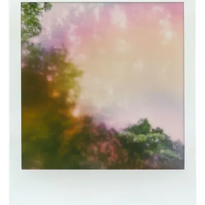 Manifestations