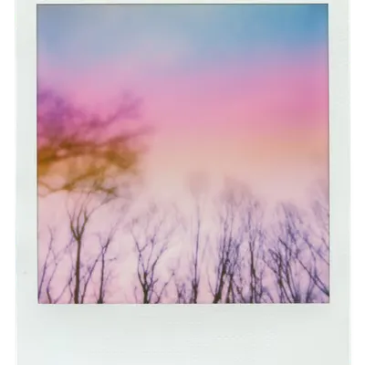 Manifestation