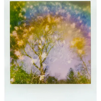 Manifestation