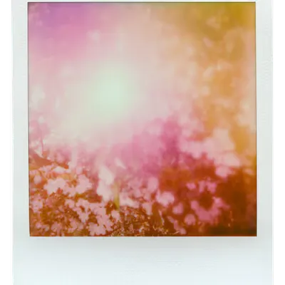 Manifestation