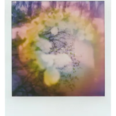 Manifestation