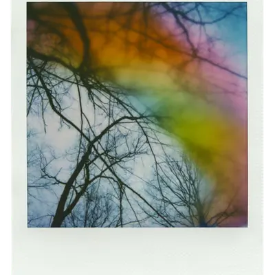 Manifestation