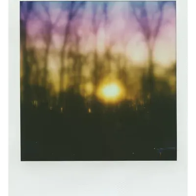 Manifestation