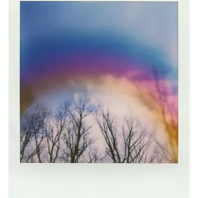 Manifestation