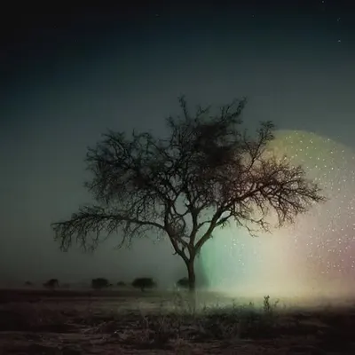 While We Dream #70