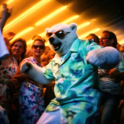 PARTY POLAR