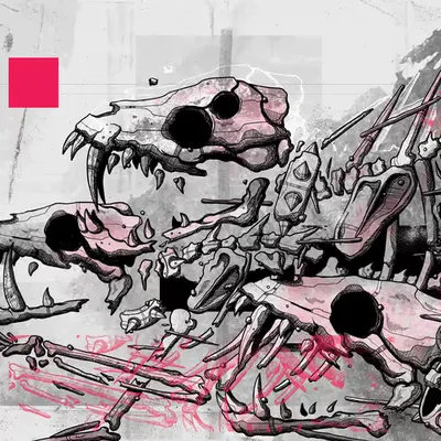 Bone Chaser