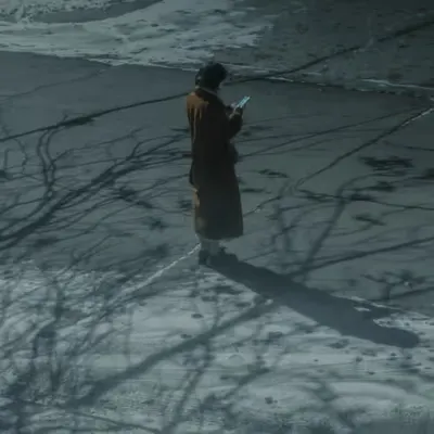 Shadow of a Tree