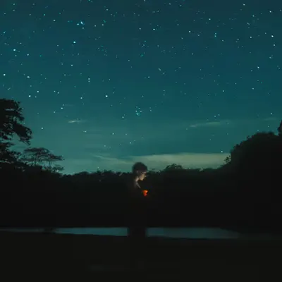 Palm Full of Stars 