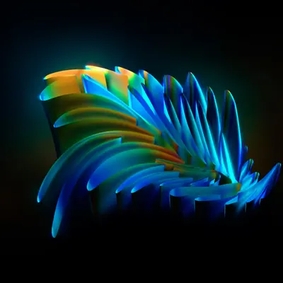 ZOË: Feather
