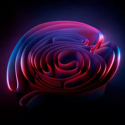 ZOË: Spin
