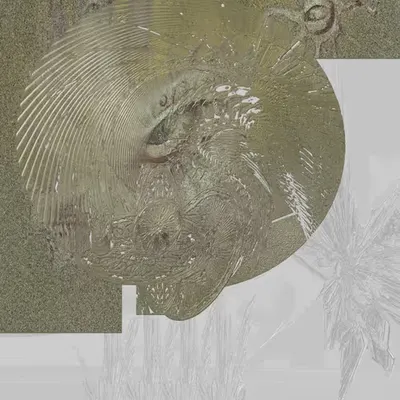 Distorted History of the Now