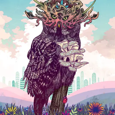 Journeying Spirit (Owl)