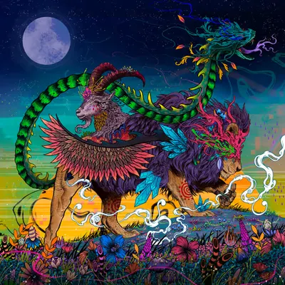 Chaos Chimera