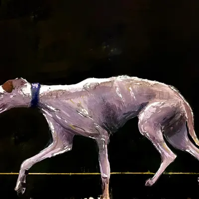 Hound #23