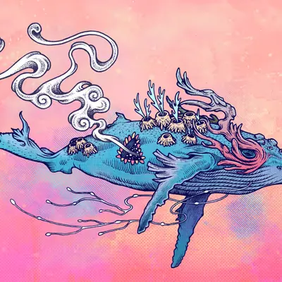 The Last Whale