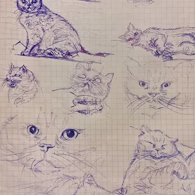 Sketches from the life of Clementine