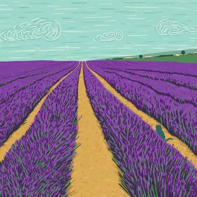 Violet Paradise