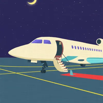 Private jet for cute cat