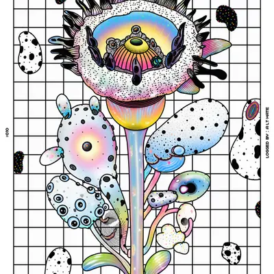 010
