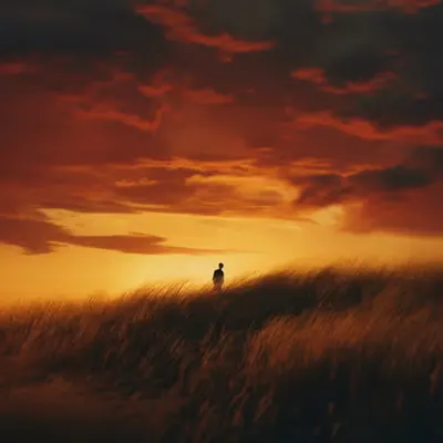 wind