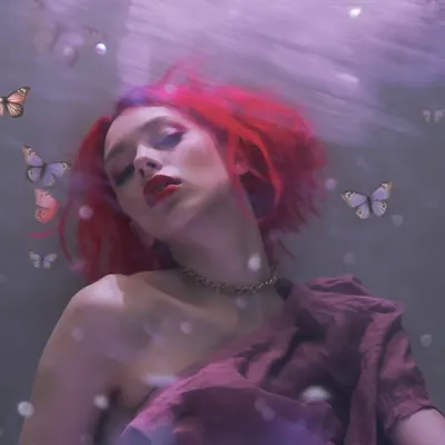 Euphoria