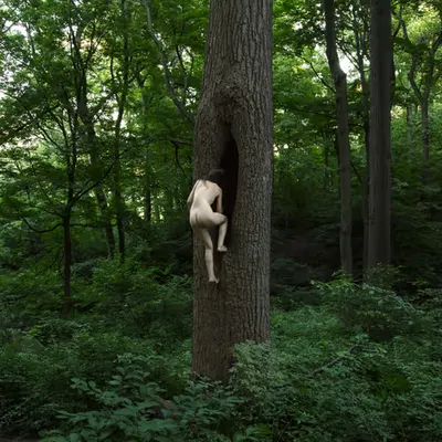 Hollow